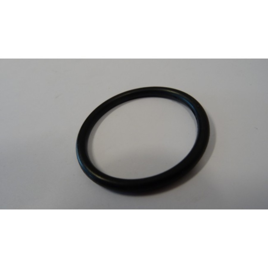 409927 Tail cover O-ring