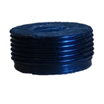 103065 Carbon brush cap RSM1019
