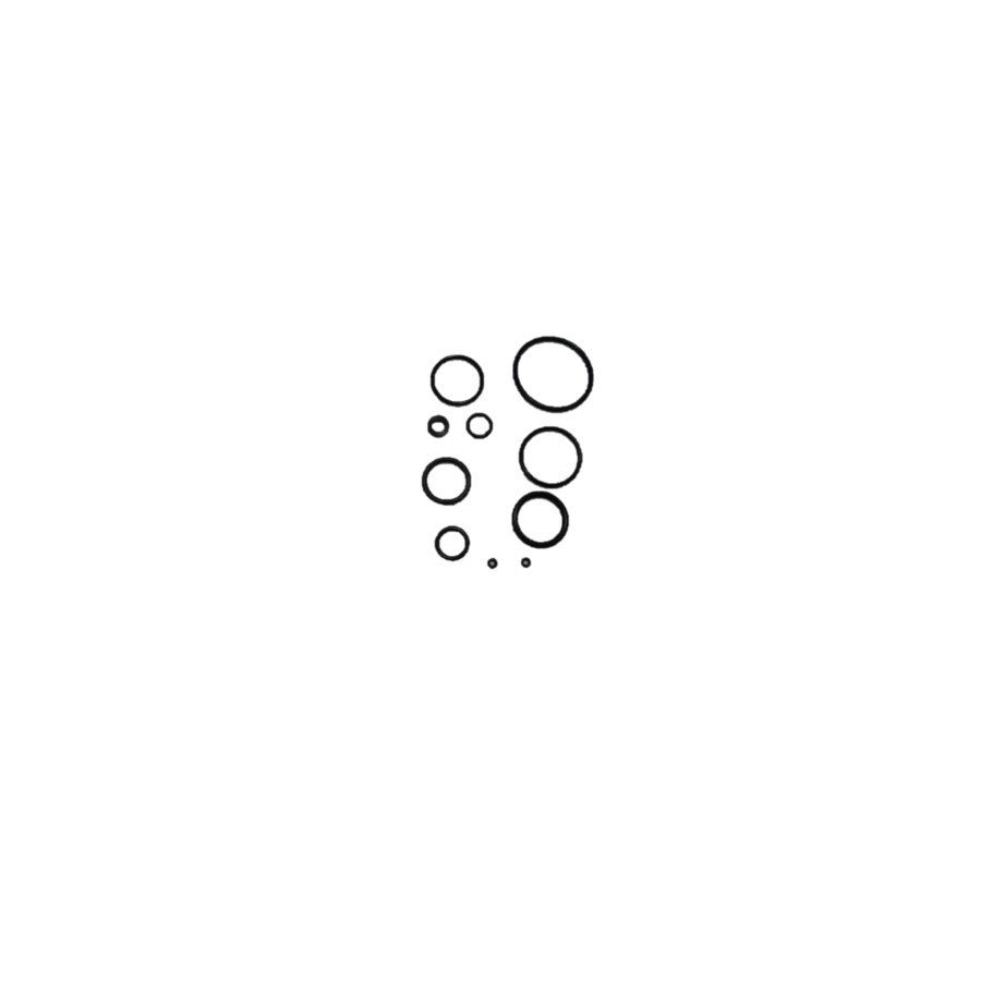 480866 O-ring set ATM1051