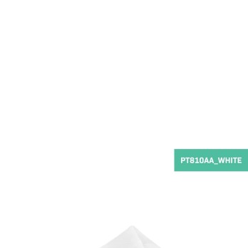 PT810AA Dakzeil voor partijtent PT501XX